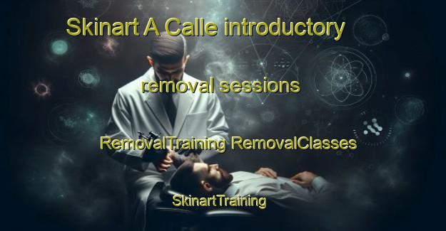 Skinart A Calle introductory removal sessions | #RemovalTraining #RemovalClasses #SkinartTraining-Spain