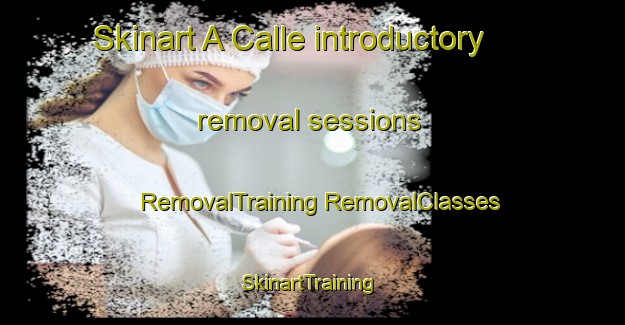 Skinart A Calle introductory removal sessions | #RemovalTraining #RemovalClasses #SkinartTraining-Spain