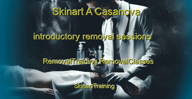 Skinart A Casanova introductory removal sessions | #RemovalTraining #RemovalClasses #SkinartTraining-Spain