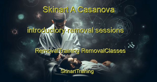 Skinart A Casanova introductory removal sessions | #RemovalTraining #RemovalClasses #SkinartTraining-Spain