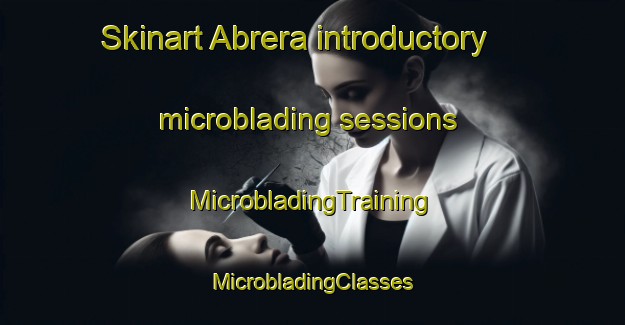 Skinart Abrera introductory microblading sessions | #MicrobladingTraining #MicrobladingClasses #SkinartTraining-Spain