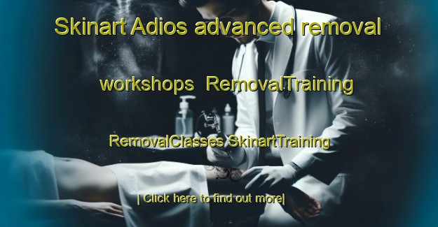 Skinart Adios advanced removal workshops | #RemovalTraining #RemovalClasses #SkinartTraining-Spain