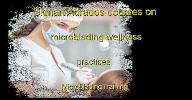 Skinart Adrados courses on microblading wellness practices | #MicrobladingTraining #MicrobladingClasses #SkinartTraining-Spain