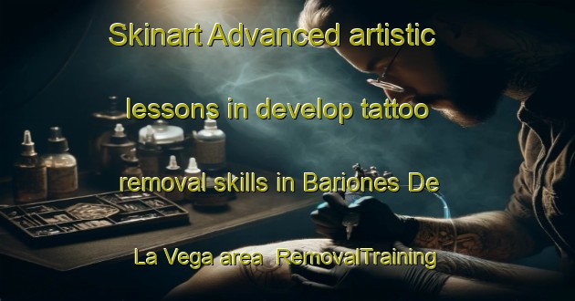 Skinart Advanced artistic lessons in develop tattoo removal skills in Bariones De La Vega area | RemovalTraining | RemovalClasses | SkinartTraining-Spain