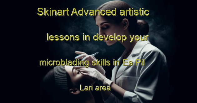 Skinart Advanced artistic lessons in develop your microblading skills in Es Pil Lari area | MicrobladingTraining | MicrobladingClasses | SkinartTraining-Spain