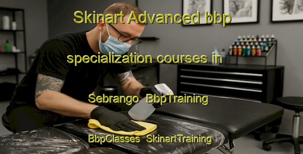 Skinart Advanced bbp specialization courses in Sebrango | BbpTraining | BbpClasses | SkinartTraining-Spain