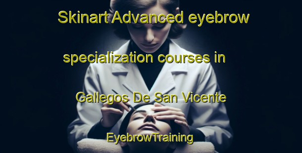 Skinart Advanced eyebrow specialization courses in Gallegos De San Vicente | EyebrowTraining | EyebrowClasses | SkinartTraining-Spain
