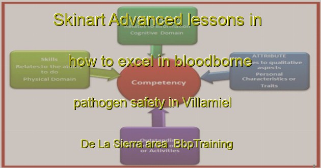 Skinart Advanced lessons in how to excel in bloodborne pathogen safety in Villamiel De La Sierra area | BbpTraining | BbpClasses | SkinartTraining-Spain