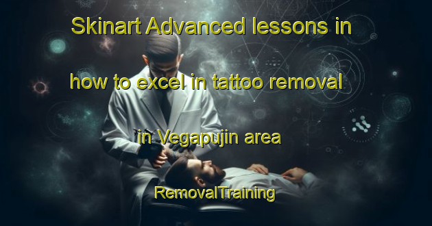 Skinart Advanced lessons in how to excel in tattoo removal in Vegapujin area | RemovalTraining | RemovalClasses | SkinartTraining-Spain