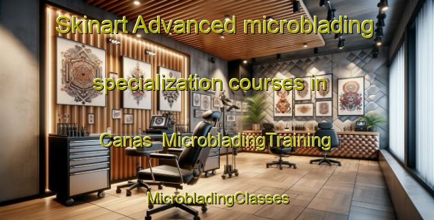 Skinart Advanced microblading specialization courses in Canas | #MicrobladingTraining #MicrobladingClasses #SkinartTraining-Spain