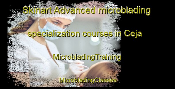 Skinart Advanced microblading specialization courses in Ceja | #MicrobladingTraining #MicrobladingClasses #SkinartTraining-Spain