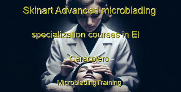 Skinart Advanced microblading specialization courses in El Caracolero | #MicrobladingTraining #MicrobladingClasses #SkinartTraining-Spain