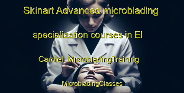 Skinart Advanced microblading specialization courses in El Cardiel | #MicrobladingTraining #MicrobladingClasses #SkinartTraining-Spain