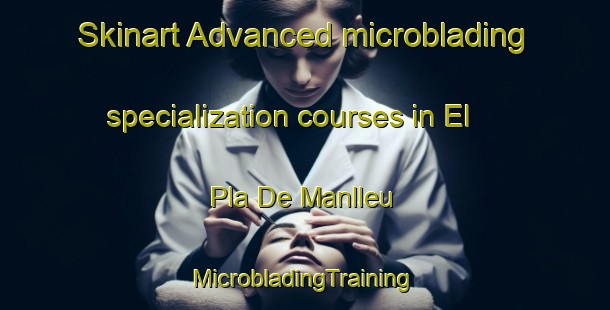 Skinart Advanced microblading specialization courses in El Pla De Manlleu | #MicrobladingTraining #MicrobladingClasses #SkinartTraining-Spain