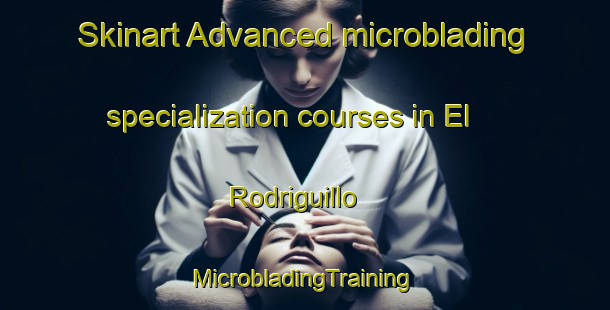 Skinart Advanced microblading specialization courses in El Rodriguillo | #MicrobladingTraining #MicrobladingClasses #SkinartTraining-Spain