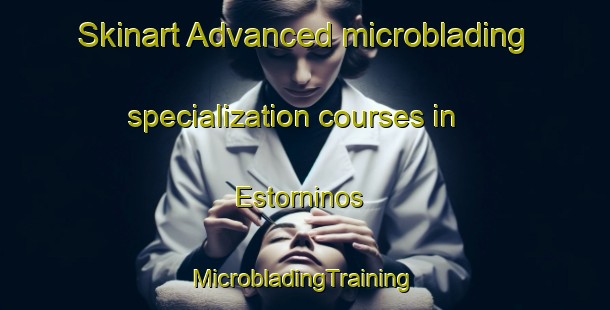 Skinart Advanced microblading specialization courses in Estorninos | #MicrobladingTraining #MicrobladingClasses #SkinartTraining-Spain