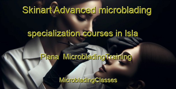 Skinart Advanced microblading specialization courses in Isla Plana | #MicrobladingTraining #MicrobladingClasses #SkinartTraining-Spain