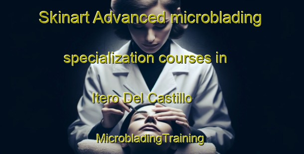 Skinart Advanced microblading specialization courses in Itero Del Castillo | #MicrobladingTraining #MicrobladingClasses #SkinartTraining-Spain