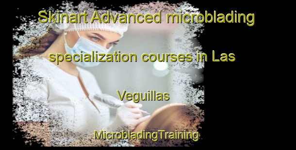 Skinart Advanced microblading specialization courses in Las Veguillas | #MicrobladingTraining #MicrobladingClasses #SkinartTraining-Spain