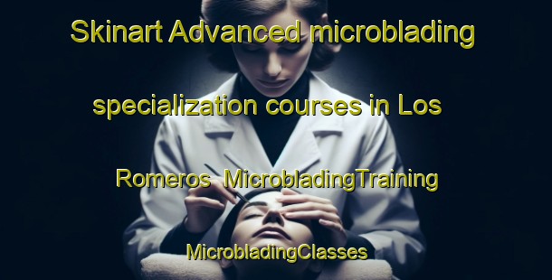 Skinart Advanced microblading specialization courses in Los Romeros | #MicrobladingTraining #MicrobladingClasses #SkinartTraining-Spain