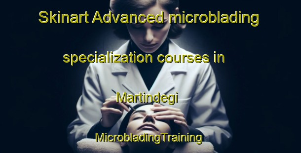 Skinart Advanced microblading specialization courses in Martindegi | #MicrobladingTraining #MicrobladingClasses #SkinartTraining-Spain