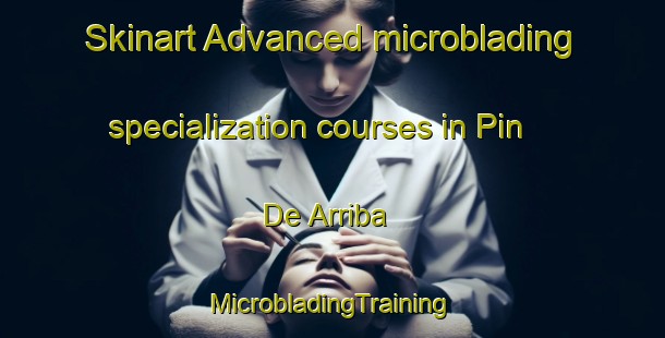 Skinart Advanced microblading specialization courses in Pin De Arriba | #MicrobladingTraining #MicrobladingClasses #SkinartTraining-Spain