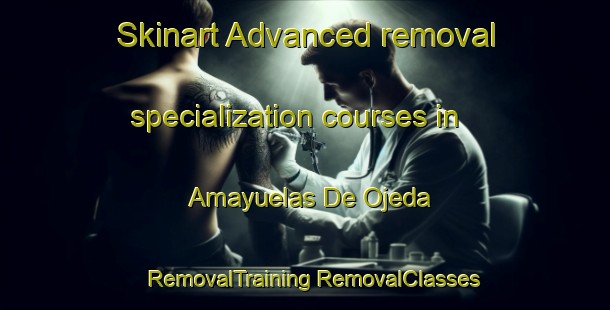 Skinart Advanced removal specialization courses in Amayuelas De Ojeda | #RemovalTraining #RemovalClasses #SkinartTraining-Spain