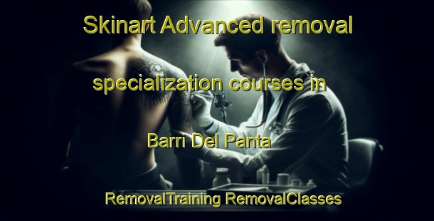 Skinart Advanced removal specialization courses in Barri Del Panta | #RemovalTraining #RemovalClasses #SkinartTraining-Spain