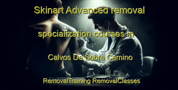 Skinart Advanced removal specialization courses in Calvos De Sobre Camino | #RemovalTraining #RemovalClasses #SkinartTraining-Spain