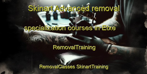 Skinart Advanced removal specialization courses in Etxe | #RemovalTraining #RemovalClasses #SkinartTraining-Spain