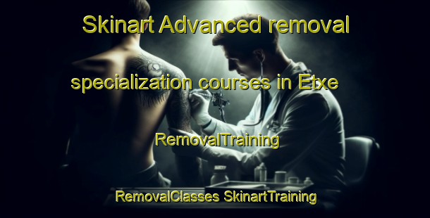 Skinart Advanced removal specialization courses in Etxe | #RemovalTraining #RemovalClasses #SkinartTraining-Spain