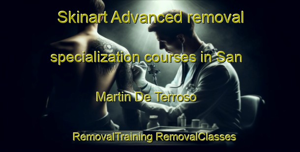 Skinart Advanced removal specialization courses in San Martin De Terroso | #RemovalTraining #RemovalClasses #SkinartTraining-Spain