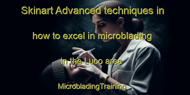 Skinart Advanced techniques in how to excel in microblading in the Luco area | MicrobladingTraining | MicrobladingClasses | SkinartTraining-Spain