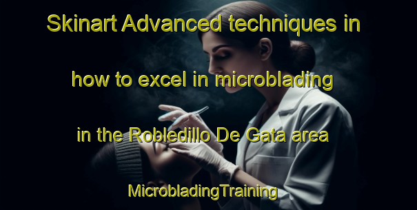 Skinart Advanced techniques in how to excel in microblading in the Robledillo De Gata area | MicrobladingTraining | MicrobladingClasses | SkinartTraining-Spain