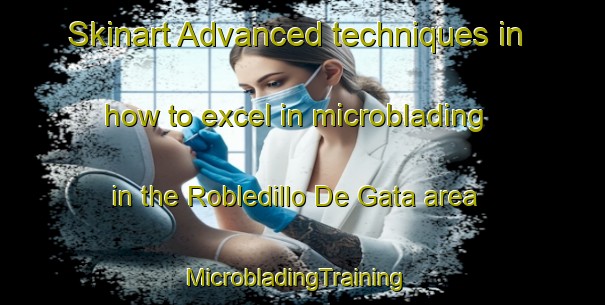 Skinart Advanced techniques in how to excel in microblading in the Robledillo De Gata area | MicrobladingTraining | MicrobladingClasses | SkinartTraining-Spain