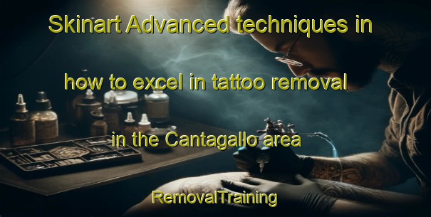 Skinart Advanced techniques in how to excel in tattoo removal in the Cantagallo area | RemovalTraining | RemovalClasses | SkinartTraining-Spain