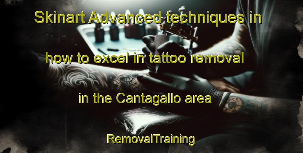 Skinart Advanced techniques in how to excel in tattoo removal in the Cantagallo area | RemovalTraining | RemovalClasses | SkinartTraining-Spain