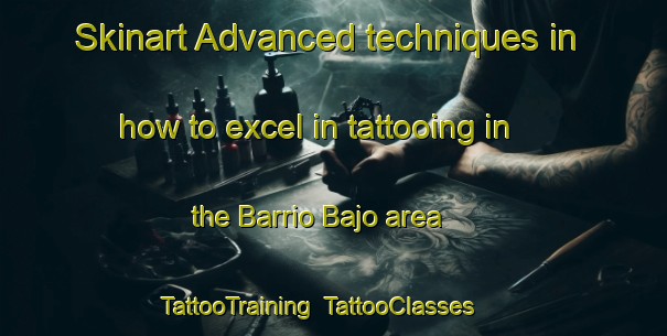 Skinart Advanced techniques in how to excel in tattooing in the Barrio Bajo area | TattooTraining | TattooClasses | SkinartTraining-Spain