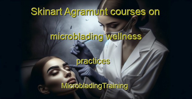 Skinart Agramunt courses on microblading wellness practices | #MicrobladingTraining #MicrobladingClasses #SkinartTraining-Spain