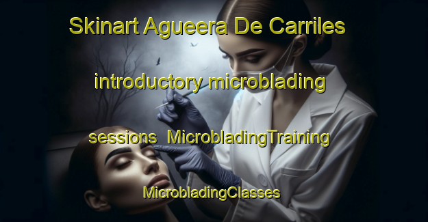 Skinart Agueera De Carriles introductory microblading sessions | MicrobladingTraining | MicrobladingClasses | SkinartTraining-Spain