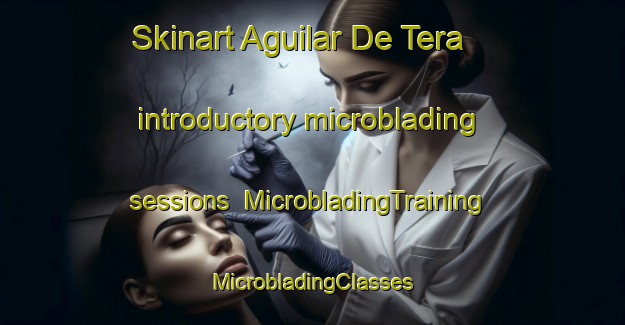 Skinart Aguilar De Tera introductory microblading sessions | #MicrobladingTraining #MicrobladingClasses #SkinartTraining-Spain