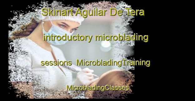 Skinart Aguilar De Tera introductory microblading sessions | #MicrobladingTraining #MicrobladingClasses #SkinartTraining-Spain