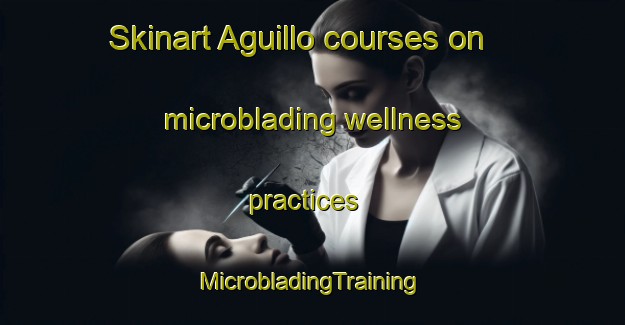 Skinart Aguillo courses on microblading wellness practices | #MicrobladingTraining #MicrobladingClasses #SkinartTraining-Spain