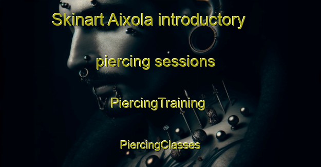 Skinart Aixola introductory piercing sessions | #PiercingTraining #PiercingClasses #SkinartTraining-Spain