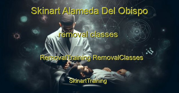 Skinart Alameda Del Obispo removal classes | #RemovalTraining #RemovalClasses #SkinartTraining-Spain