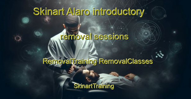 Skinart Alaro introductory removal sessions | #RemovalTraining #RemovalClasses #SkinartTraining-Spain