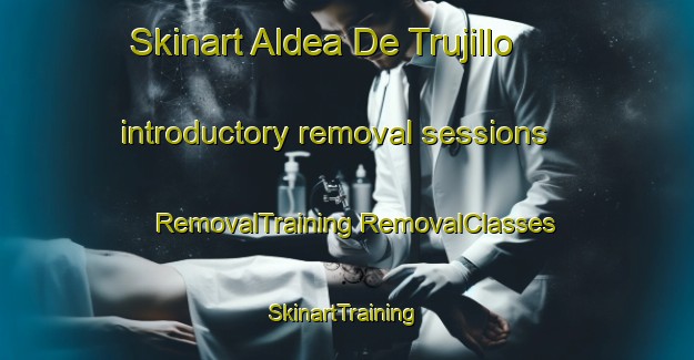 Skinart Aldea De Trujillo introductory removal sessions | #RemovalTraining #RemovalClasses #SkinartTraining-Spain