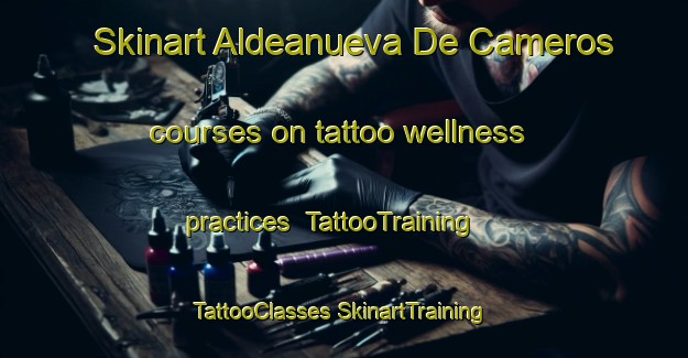 Skinart Aldeanueva De Cameros courses on tattoo wellness practices | #TattooTraining #TattooClasses #SkinartTraining-Spain