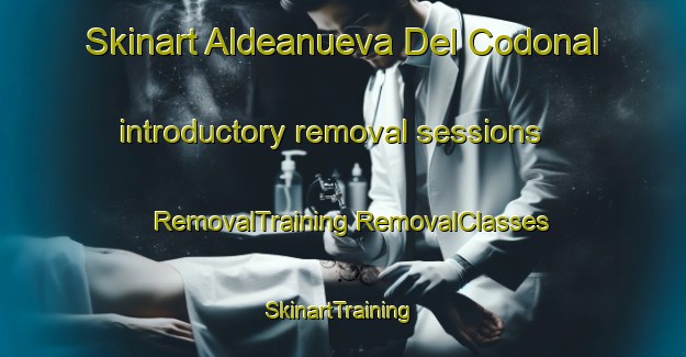 Skinart Aldeanueva Del Codonal introductory removal sessions | #RemovalTraining #RemovalClasses #SkinartTraining-Spain