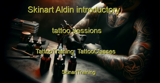 Skinart Aldin introductory tattoo sessions | TattooTraining | TattooClasses | SkinartTraining-Spain